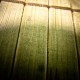 Podłoga z bambusa – czy warto?